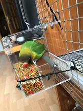 Box Cage Perch-Stand Birds-Supplies Bird-Parrot-Feeder Feeding-Tools Hanging Parrots