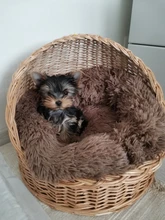 Pet bed for dog donut bed plush cat bed accessories kennels for dogs mascotas productos