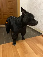 HOOPET Large Coat Down-Jacket Winter New Warm Autumn for Dogs Dog-Prints Overalls Leisure-Style