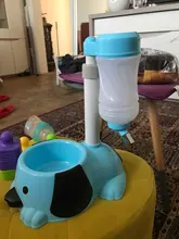 Water-Drinker-Dispenser Bottle Pet Bowl Dish Hamster-Feeder Puppy Food-Stand Cats Dogs