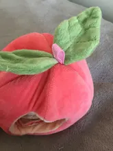 House Chinchilla Hammock-Cage Nest Hamster Sugar Glider Animal-Swing Hide Cute Sleeping-Bed