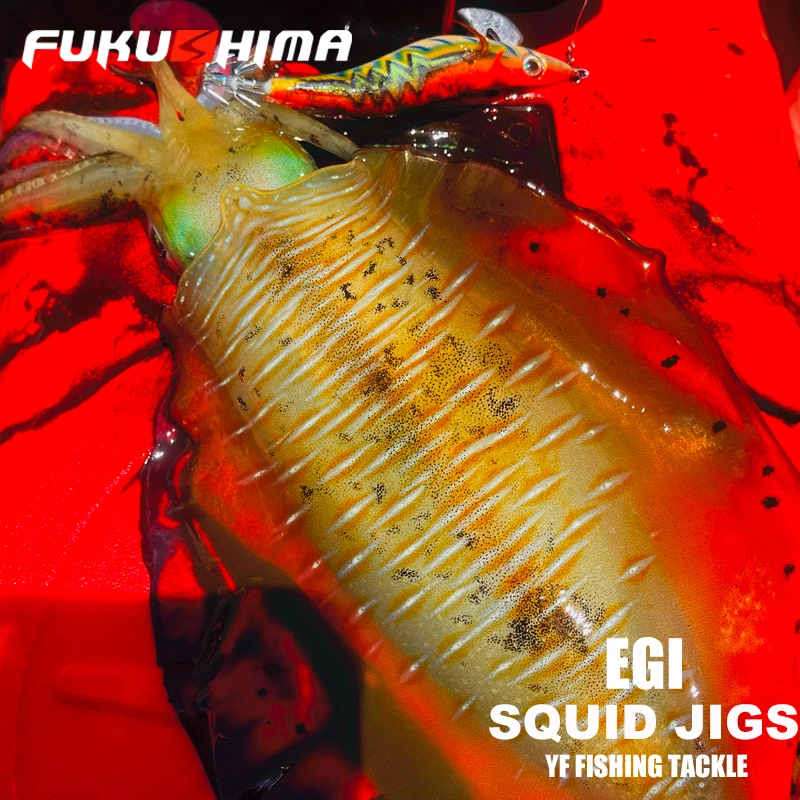 FUKUSHIMA 3,5 SQUID JIGS GLOW EGI LURE FISHING WOOD SHRIMP BAIT SHARP HOOKS 21GRAMS CUTTLEFISH OCTOPUS BOOT AND ROCK FISHING – Detail 16