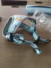 personalized Reflective Dog Cat Harness Vest Pet Adjustable Walking Leash Set for Puppy