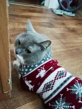 Jersey navideño para perros y gatos, ropa de invierno para perros pequeños, chaqueta para cachorros de Chihuahua Yorkies, ropa para mascotas, Ubranka Dla Psa
