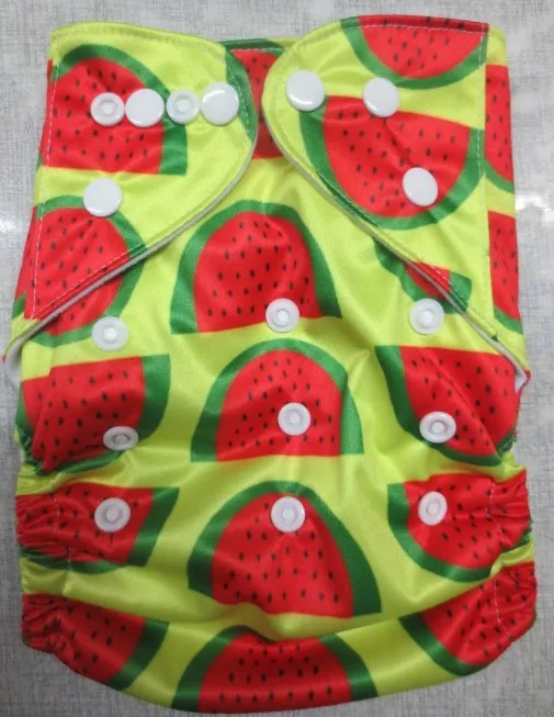 Print Cloth  diapers (2)