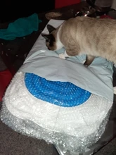 Cat Toilet Litter-Box Puppy-Cat-Litter-Mat Training-Kit Plastic 40--40--3.5cm