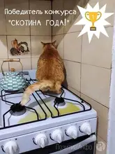 Running-Shoes Trekking Outdoor Waterproof Breathable Sale NEW ONEMIX for Men Male Anti-Slip