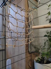 40 * 40cm Red de escalada para loros, juguete para pájaros, cuerda para columpiar, red, soporte para pájaros, hamaca de red con gancho para colgar pájaros, juguetes para masticar y morder