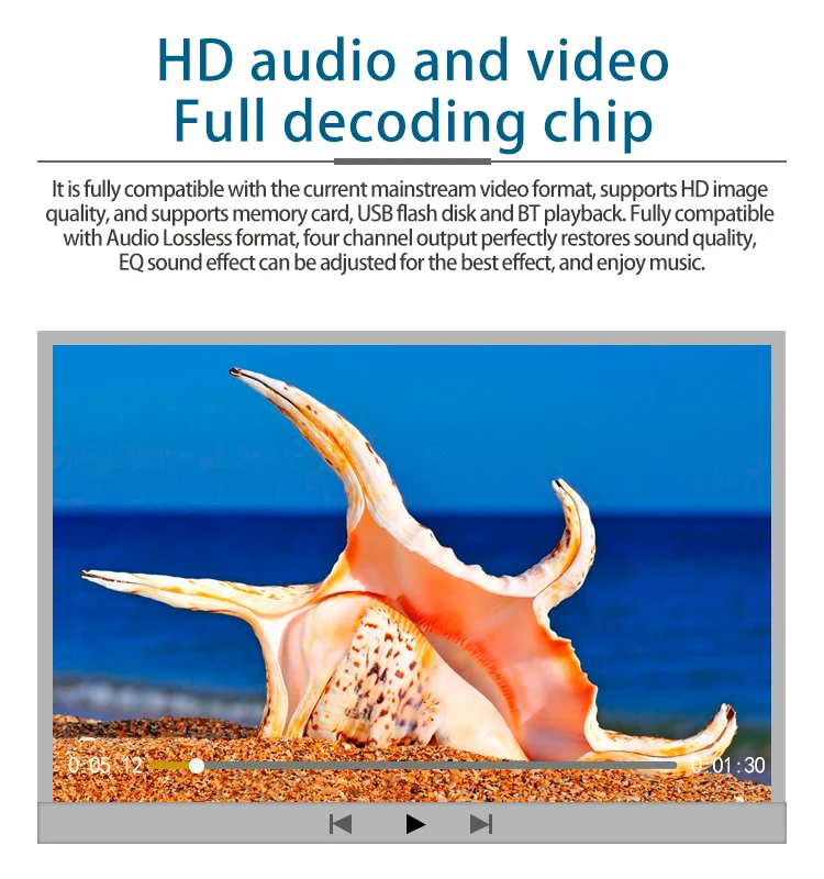 HD audio and video Full decoding chip