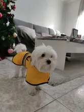 Jumpsuit Hoodies Pet-Coat Rain-Jacket Reflective French-Bulldog-S-2xl Waterproof Medium