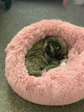 Dog-Bed House Sofa Cushion Cat-Mat Pet Labradors Round Plush Large for Best Wholesale