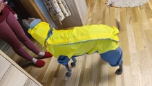 Mono impermeable para perro mascota, ropa impermeable para exteriores, mono con capucha para perros pequeños y grandes, capa impermeable, Bulldog francés