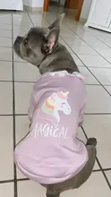 Cute Pet Dog Clothes Puppy sweater T-shirt Shirt Cute Rainbow printing Pajamas Cat 