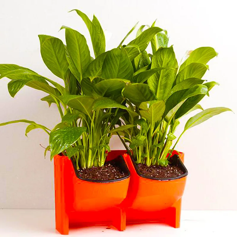 8761819921_1258253309