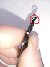 Collar de cadena con colgante de cabeza de cabra y calavera, joyería Vintage, pentagrama, hombre y mujer