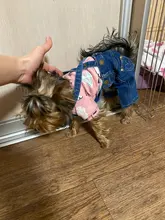 Jeans Clothing Jacket Coat Dog-Costume Puppy Dogs Small Denim Pet Medium for Chihuahua