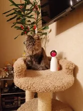 Juguetes interactivos para gatos, Láser LED para mascotas, modo manual divertido, electrónico, para todos los gatos, Laserlampje Kat