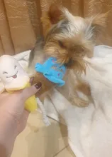 Animals Cartoon Dog Toys Stuffed Squeaking Pet Toy Cute Plush Puzzle for Dogs Cat Chew