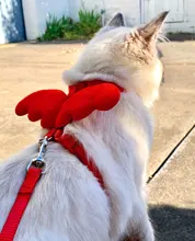 Ala del ángel arnés del animal doméstico pequeño perro mascota conejo gato pecho conjunto adorable Collar cinturón de seguridad ajustable caminar al aire libre Correa cuerda 6 Color