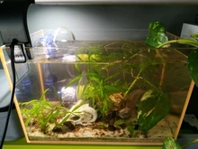 SPONGE-FILTER Air-Pump Aquarium Fish-Tank Water-Fall NICREW Ultra-Quiet