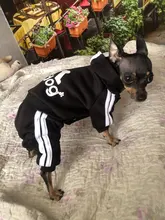 Costume Pet-Jumpsuit Puppy-Outfit Dogs French Bulldog Chihuahua Medium Pug-Pets Small