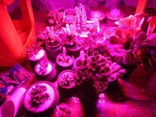 Infrarrojos/Bluetooth/WiFi LED luces de tira RGB 5050 2835 lámpara Flexible cinta con diodo DC 12V 5M 10M Control Remoto + adaptador