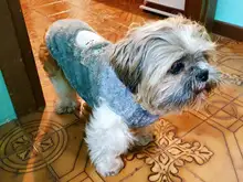 Jacket Outfits Dog Coat Pug-Costume Small Dogs Soft Chihuahua Cartoon Fleece Winter Warm