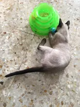 Ball Tower-Tracks-Disc Amusement-Plate Cat-Toys Cat Intelligence Training Three-Levels