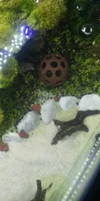 Ornament SHELTER-HOUSE Aquarium-Decoration Fish-Shrimps Fish-Tank Ceramic Canister Simulation-Stone