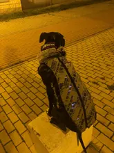 Pet-Dog-Clothes Clothing Walking-Harness Dogs Outdoor Waterproof Large Winter Medium