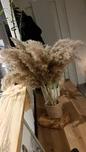 Pampas-Grass Reed Flower Wedding-Decoration Bunch Light-Color Natural Dried Christmas