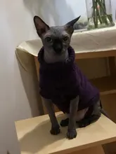 Vest Costume Pets-Sweater Dog-Coat T-Shirt Kitty For Cats Outfit Clothing Pet-Dog Dogs