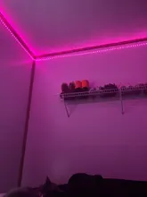 Light Led-Strip Remote-Control Waterproof Rgb 5050 SMD2835 10M 5M DC12V RGBWW with IR