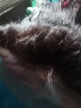Hueso recto 13x4 cabello humano cierre Frontal de malla Natural brasileño suave cabello Remy 150% de densidad Pre arrancado Frontal SuperIcon