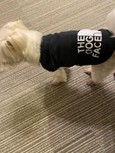 Chaleco para perros, ropa de verano, ropa para cachorros, disfraz de bulldog Francés schnauzer, Camiseta de algodón