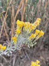 Tornillo hexagonal de acero inoxidable, cabeza de oblea superplana, ultrafina, tornillo Allen, M1.6, M2, M2.5, M3, M4, M5, M6, 304, 10/50 Uds.