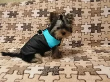 8 Size S-5XL Winter Dog Clothes For Pet Waterproof Warm Large Dog Vest Cat Puppy Dog