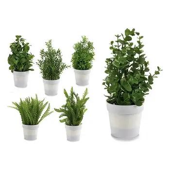 

Decorative Plant Ibergarden Plastic (19 x 29 x 19 cm)