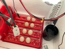 Incubadora de huevos, con bandeja de huevos giratoria, probador de huevos automático para dar la vuelta a los huevos, equipo de enseñanza Experimental de voltaje de 220V / 110V / 12V