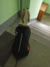 Dog-Coat Winter HOOPET for Dogs Clothing Warm Christmas Big