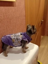 Puppy Vest Coat Clothing Jacket Dogs Chihuahua Waterproof Large Winter Medium Pet-Dog