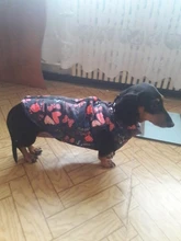 Ropa de invierno para mascotas ropa para perros, abrigo, chaqueta, traje para perros, chaleco para mascotas, ropa de Chihuahua, chaqueta, ropa para perros