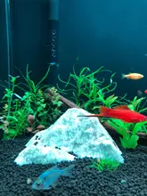 Light Aquarium-Lamp LED Chihiros Sunrise Sunset Built-In-Bluetooth-Controller Plus-Series