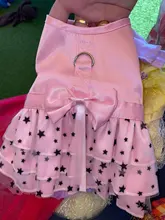 Cat Dress Shirt Summer Pet-Puppy Spring Small Dog Stars-Design Bow 2-Colours Apparel