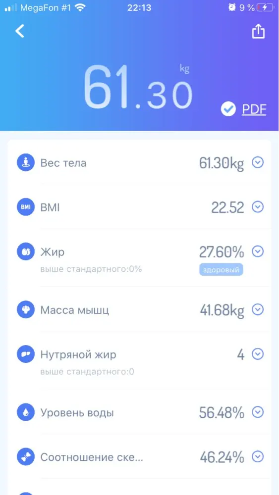 весы gason s4
