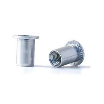 

RIVET NUT EN10016 M-10 1-3.50 C/ANCH AC ZINC PLATED BRALO 150 P