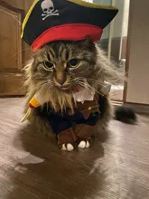 Ropa divertida para gatos, traje de pirata, ropa para gatos, Corsair, ropa de Halloween, para fiesta