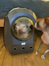 Transportín para gatos, mochila portamascotas de viaje, bandolera doble, cápsula espacial para perro, Bolso pequeño para mascota