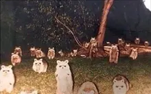 Tops Cute Tees Tshirt Harajuku Oversized Batwing Long-Sleeve Street-Girls Gothic Punk