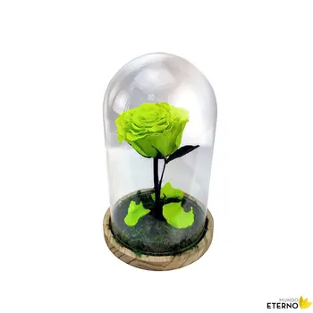 

Dome Beauty and Beast Eternal Rose preserved green electric